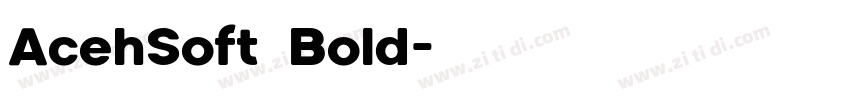 AcehSoft Bold字体转换